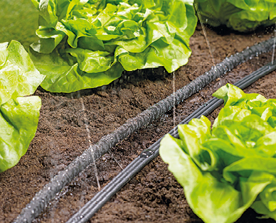 Tuyau d'arrosage perlant/diffus GARDENLINE(R)