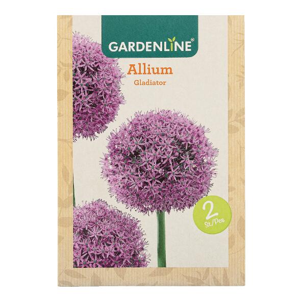 GARDENLINE(R) 				Bulbes à fleurs ail d'ornement