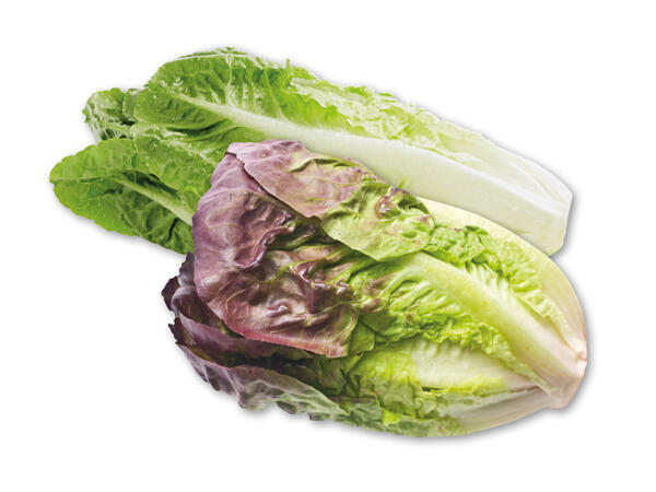 Mini-romainesalat