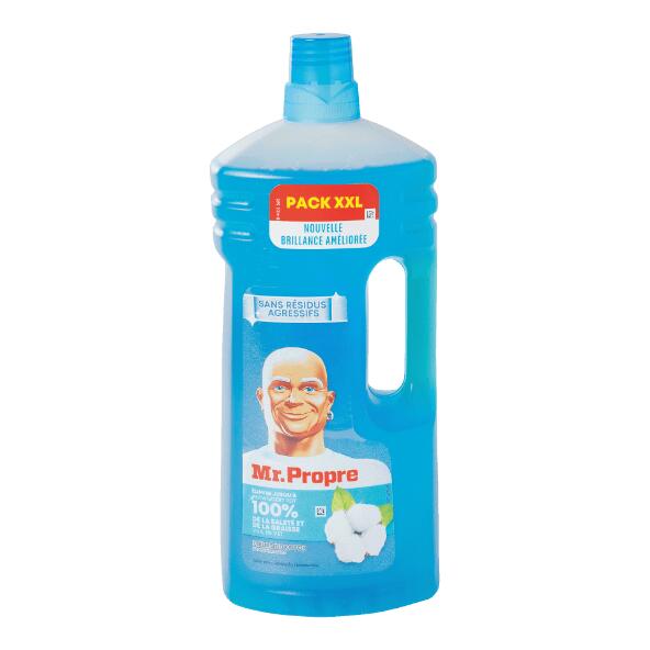 MR. PROPER(R)/MR. PROPRE(R) 				Nettoie-tout