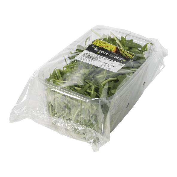 Roquette