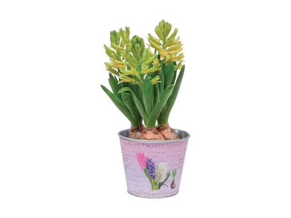 Potted Bulb Selection