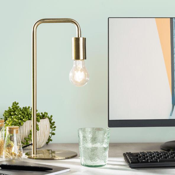 LIGHT ZONE(R) 				Ledlamp