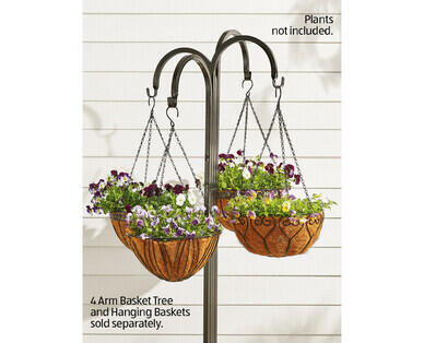 Premium Hanging Basket with Coco Liner