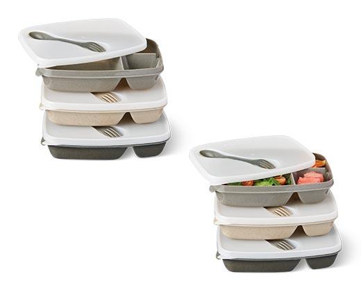 Crofton Bento Box