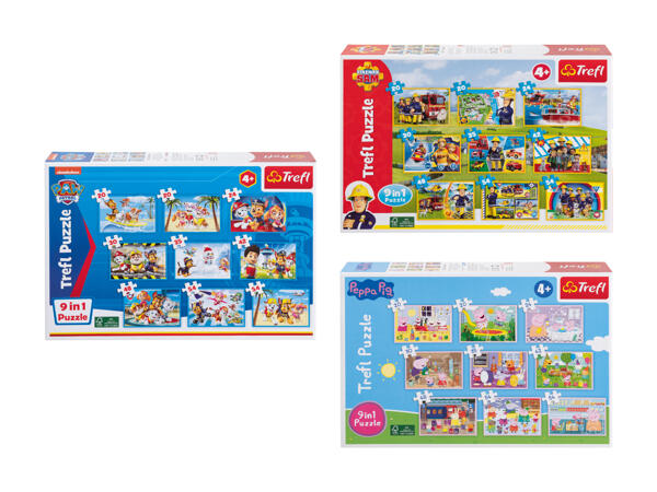 Puzzle 9-en-1