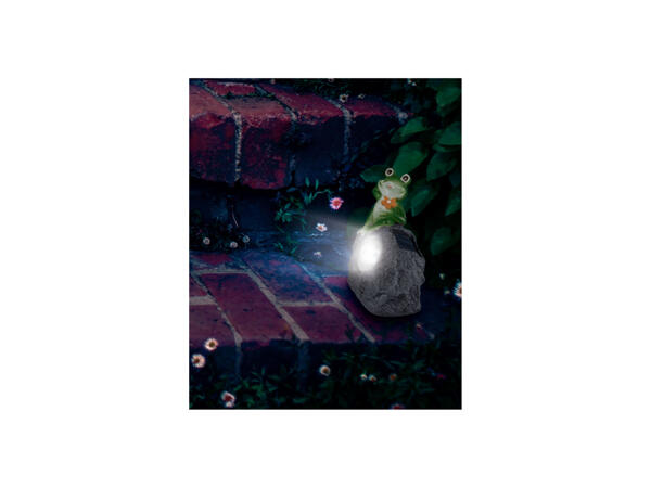 LED Solar Lights