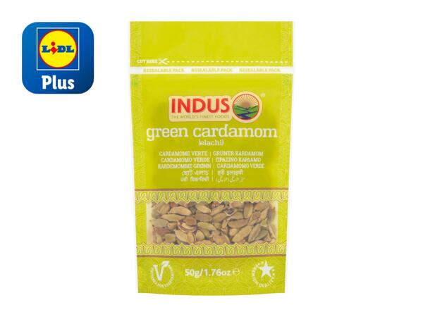 Indus Cardamom