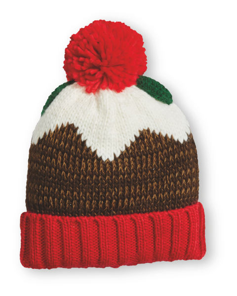 Christmas Pudding Novelty Beanie Hat