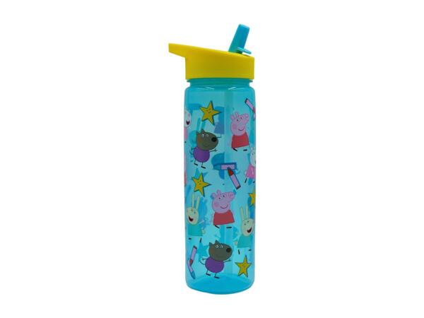 Zak 600ml Character Water Bottle