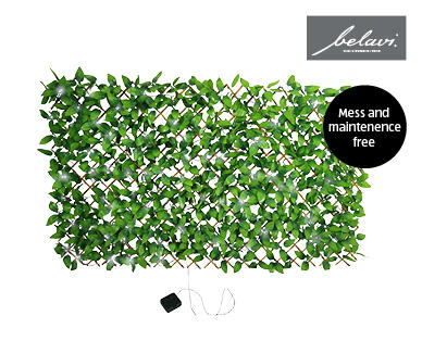 Expanding Artificial Trellis with Solar LED Fairy Lights