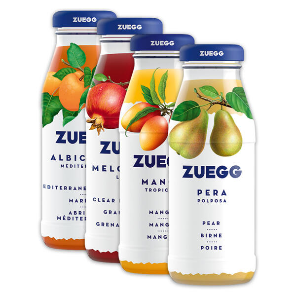 Fruchtsaftgetränk / Nektar
