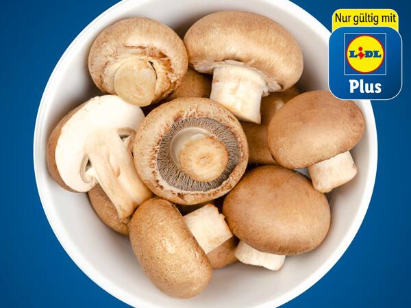 Bio Champignons braun