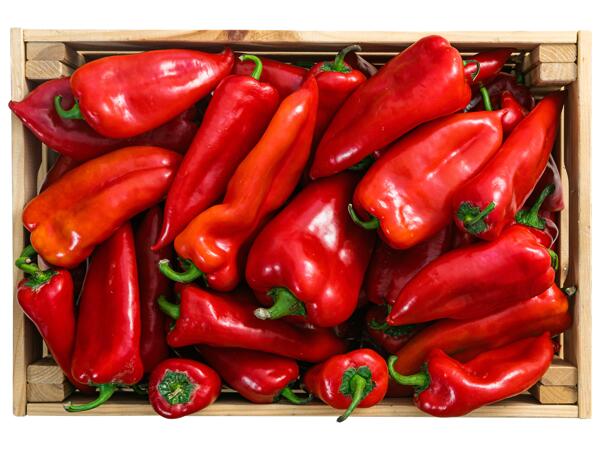 Röd paprika spetsig