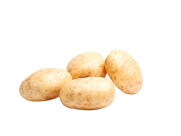 Organic White Potatoes