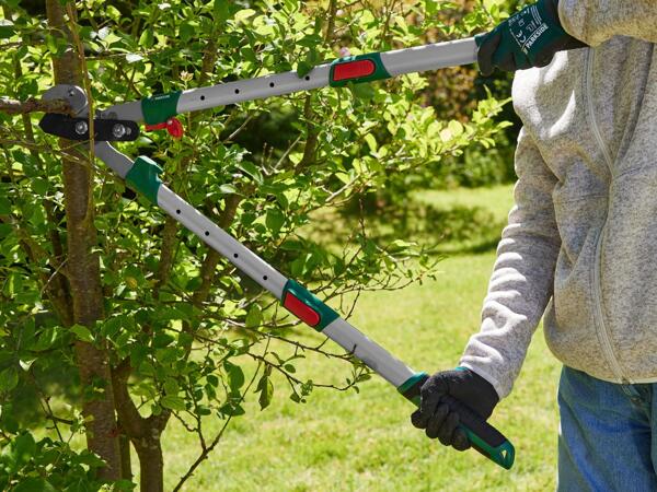Extendable Bypass / Anvil Lopper