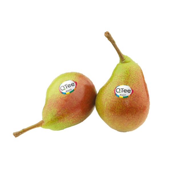 QTEE(R) Poires