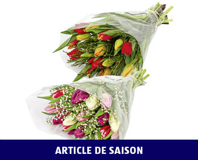 BOUQUET DE TULIPES MULTICOLORE