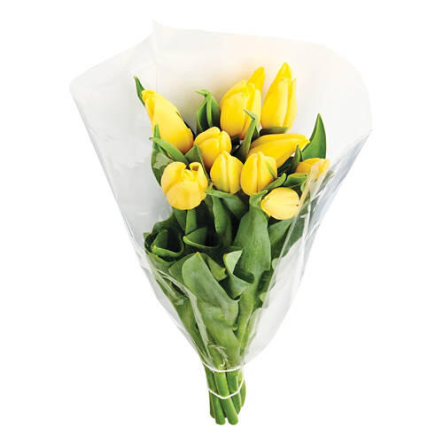 10 Stem Tulip Bouquet - Assorted Colors