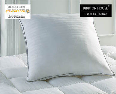 Deluxe European Pillow with a Touch of Silk