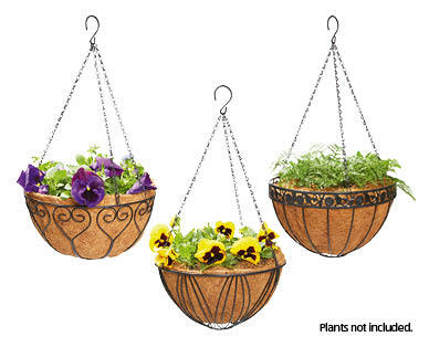 Premium Hanging Basket with Coco Liner