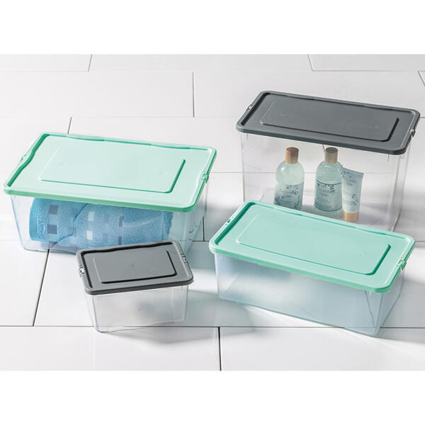 Klarsichtbox mit farbigem Deckel