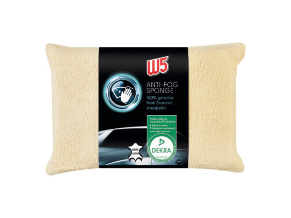 W5 Anti-Fog Sponge