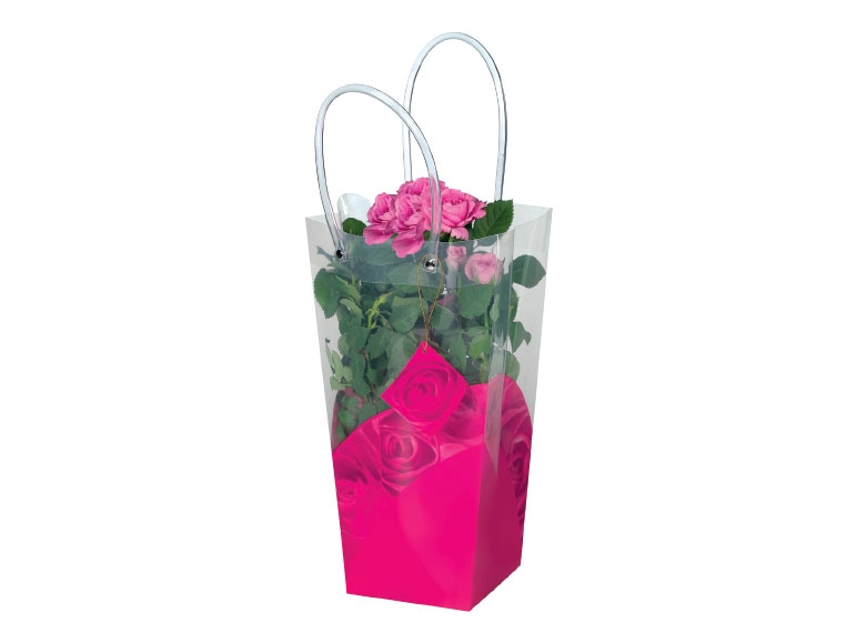 Mini Roses in Gift Bag - Available from 9th February