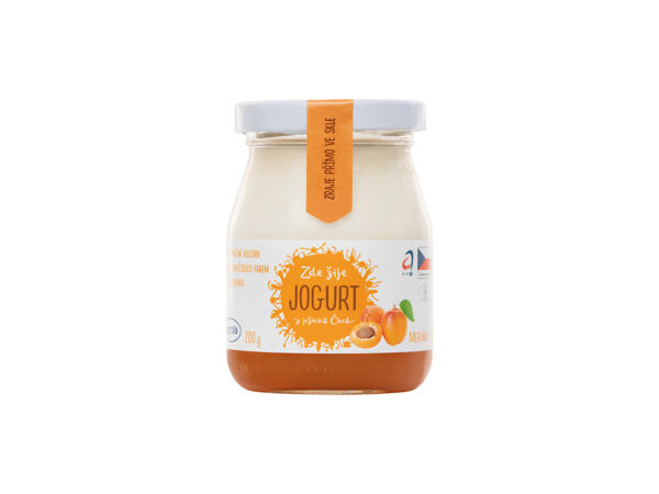 JIHOČESKÝ JOGURT OCHUCENÝ