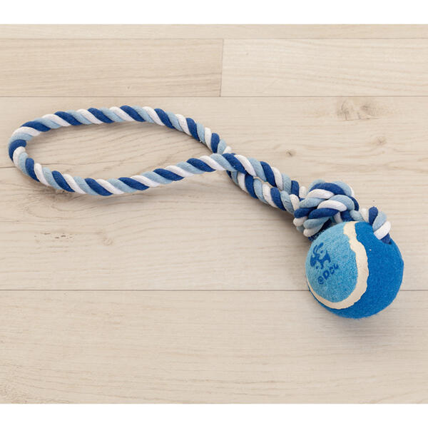 Hundespielzeug Tennisball