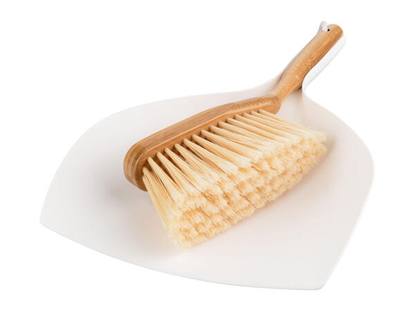 Aquapur Dustpan & Brush Set