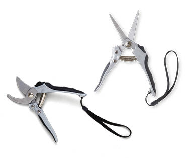 Garden Pruning Set 2pc