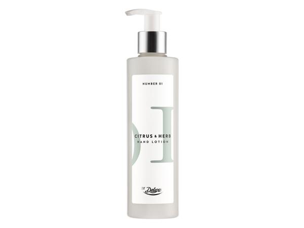 Deluxe Luxury Hand Lotion Assorted