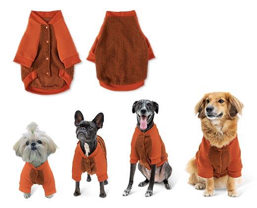 Heart to Tail Varsity Pet Coat
