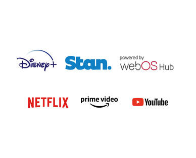 24" HD webOS TV with 12V Adaptor
