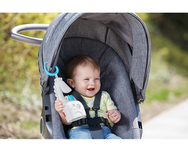 Fisher-Price Infant On-the-Go Toys