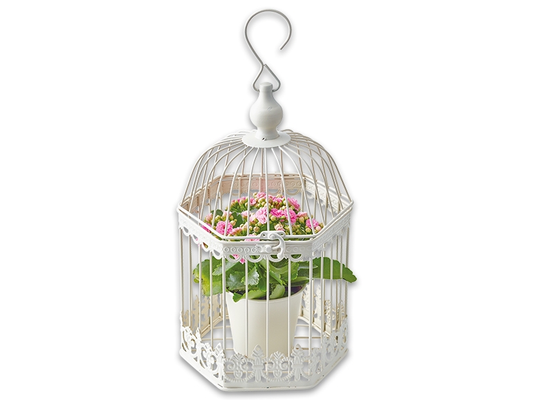 Birdcage Planter