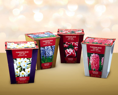 Flowering Bulb Gift Set