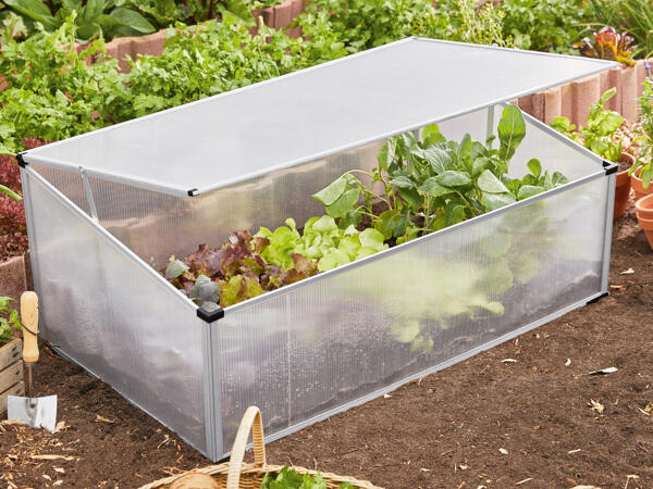 Garten-Frühbeet