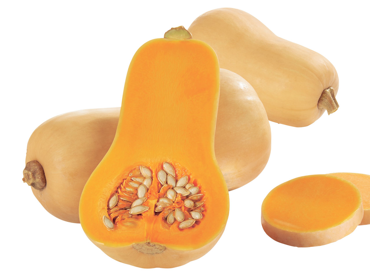 Speisekürbis Butternuss