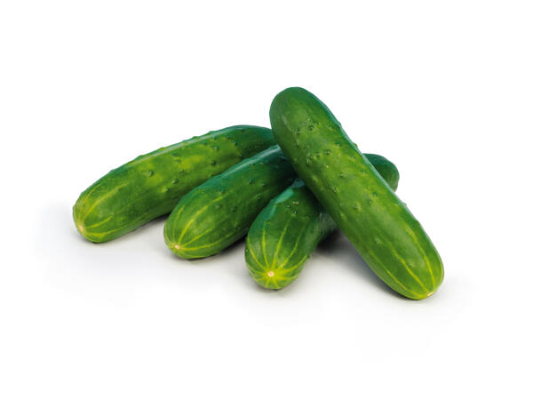 Snackgurka