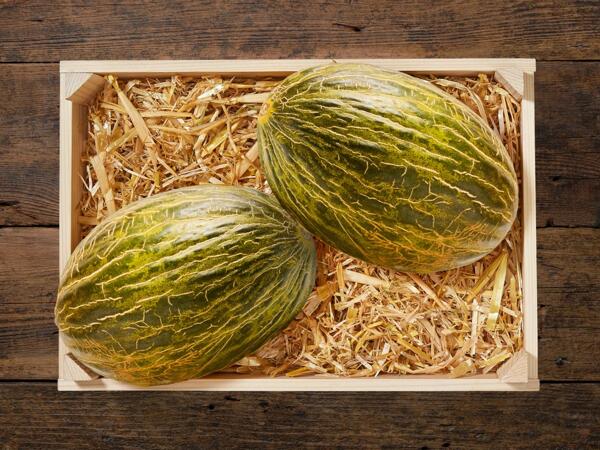 Melon piel de sapo