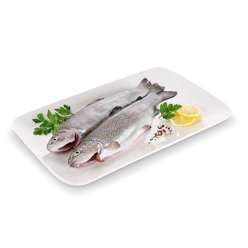 ALMARE SEAFOOD ASC Forelle