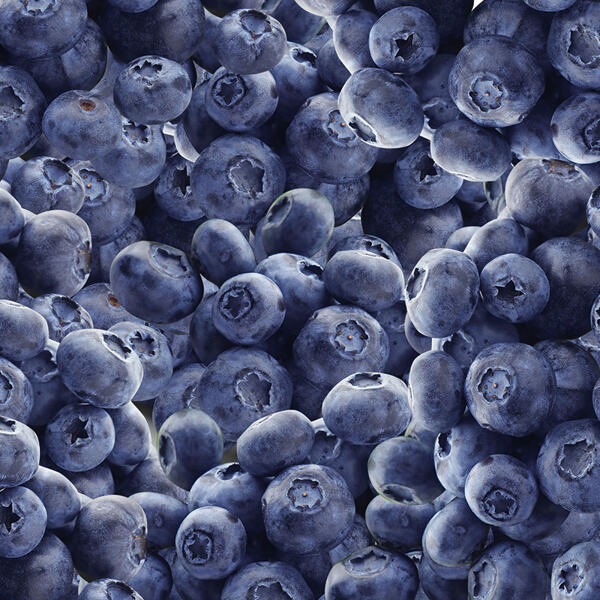 Heidelbeeren