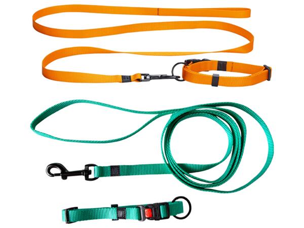 Karlie(R) hundhalsband- och koppel, set