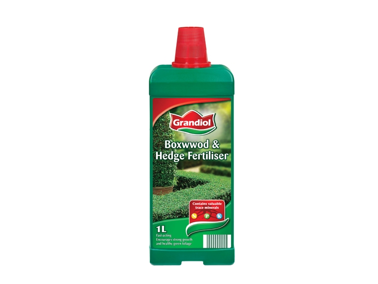 Boxwood and Hedge Fertiliser
