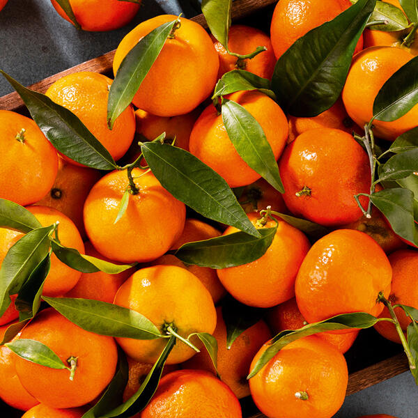 Premium Clementinen mit Blatt