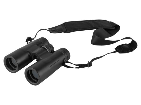 Binoculars 10x42