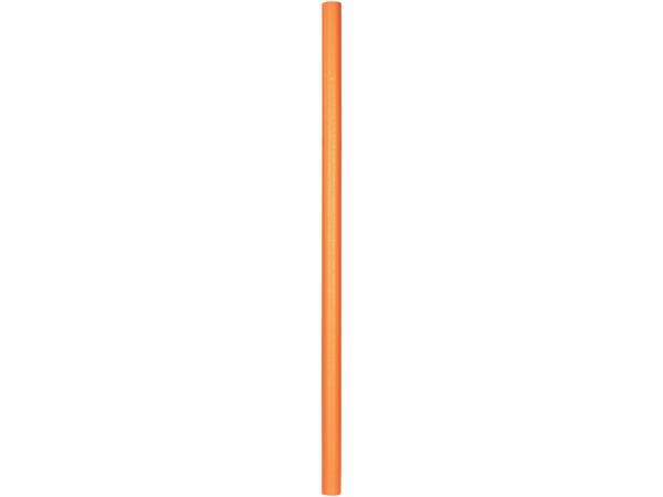 Pool Noodle
