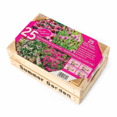 Blumenzwiebeln für Dauerpflanzen